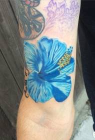 Nagy kar reális kék hibiszkusz tetoválás minta