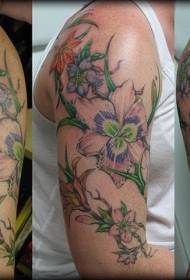 isang bungkos ng mga tattoo ng bulaklak na may magagandang kulay sa mga balikat