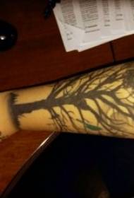Drvo tetovaža uzorak za tetovažu debla i uzorak tetovaže s kokosovim stablom za različite dijelove tijela