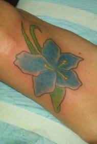 Modello di tatuaggio orchidea blu