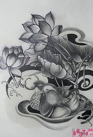 mandarijn eend lotus tattoo manuscript foto