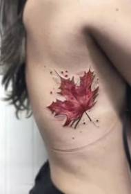 Maple Leaf tatuirovkasi Rasm: zarang barg barglari zarbining ajoyib to'plami