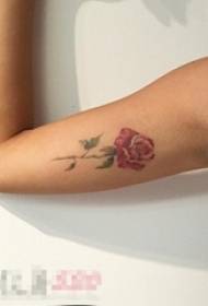 Mergaitės rankos dažytos akvarelės gražus literatūrinis mažos šviežios rožės tatuiruotės paveikslas