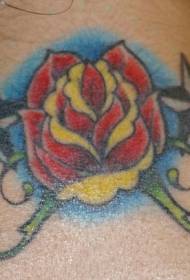 Krk barevný pentagram a červené růže tetování vzor