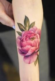 Grupa pięknych, przepięknych kwiatów i zdjęć z tatuażami