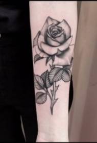 O le faʻataʻitaʻiga o le tatuga a Rose o se kulupu matagofie ma le matagofie o tattoo tattoo