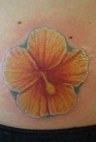 Midjefärgad gul hibiskus tatuerad bild