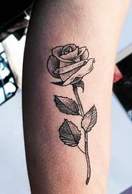 Kanema kakang'ono ka rose tattoo