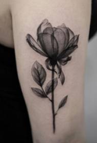 Braç de noia sobre un punt de dibuix de punt negre gris espina creativa literària bellíssima imatge de tatuatge de flors