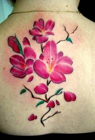Bellissimo modello di tatuaggio di fiori di ciliegio sul retro