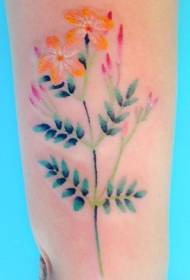 Patró de tatuatge de flors petits, frescos i de color arc de Sant Martí
