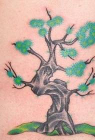 Schouder kleur kleine boom tattoo patroon