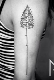 Kızın kolu siyah çizgi üzerinde yaratıcı edebi ağacı güzel dövme resmi