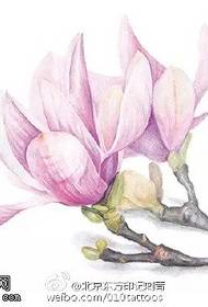 apẹrẹ ẹṣọ magnolia lẹwa kan