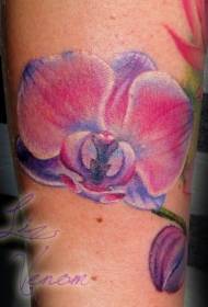 Imatge de tatuatge de color orquídia de color vermell del braç