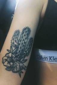 Brațul fetei pe schiță gri neagră punct ghimpe abilitate creativă tatuaj cactus literar imagine