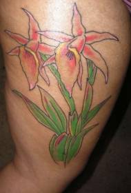 Dwa kolorowe wzory tatuaży orchidei