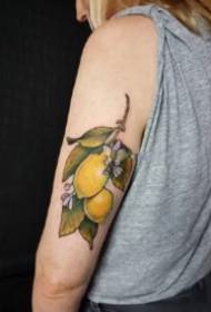 Lemon Tattoo 9 Tattoos Lemon