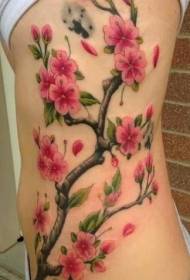 Side ribber fargerike tatoveringsmønster med kirsebærblomst