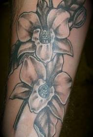 Modeli i bukur i tatuazhit të bukur orkide të zezë dhe të bardhë