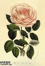 Motif de tatouage rose blanche manuscrite