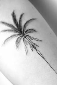 Илустрација за тетоважа со кокосово дрво - 9 едноставни дела на тетоважа со црн кокос