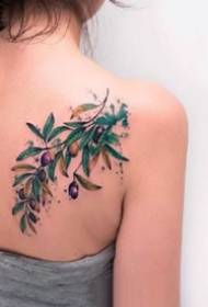 9 modello di tatuaggio di rami di ulivo e piante da frutto