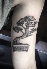 Modello di tatuaggio a forma di bonsai in bianco e nero con grande braccio intagliato in stile