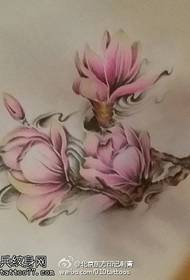 Smukt magnolia manuskript tatoveringsmønster