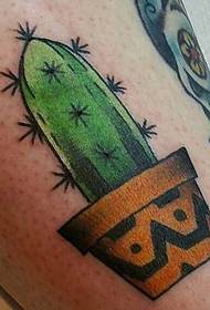 seti ya picha za tattoo ya cactus ya rangi mbalimbali