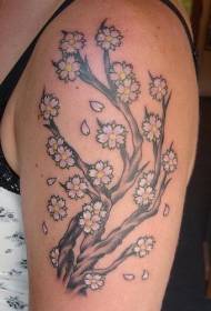 Женское плечо с рисунком тату вишневого дерева