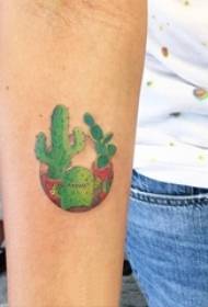 Maschera letteraria creativa del tatuaggio del cactus di schizzo dell'acquerello dipinto braccio della ragazza