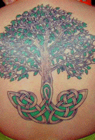 Emuva luhlaza olukhulu isihlahla esikhulu nephethini ye-celtic knot tattoo