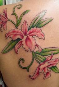 Female shoulder color pink orchid tattoo pattern