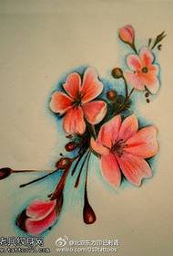 Boyalı güzel küçük kiraz çiçeği el yazması dövme deseni
