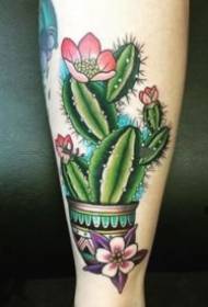 Disert Flower Cactus Tattoo Pattern 9 Pezzi