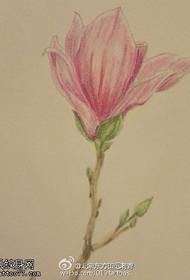 Skitse farve magnolia manuskript tatoveringsmønster