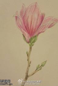 Sketch color magnolia manuscript tattoo pattern