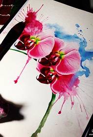 Splash tinta acquarellu realista manuale di tatuaggi Phalaenopsis mudellu