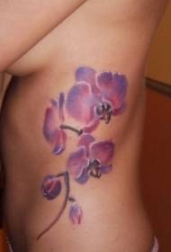 Bel tarafında suluboya sevimli orkide dövme deseni