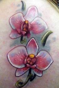 Magandang pattern ng puting orchid tattoo