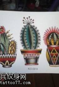 Tusiga o se faʻataʻitaʻiga o le tattooga cactus