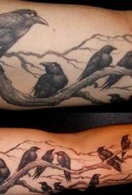 Arm krager sidder på træ tatovering mønster