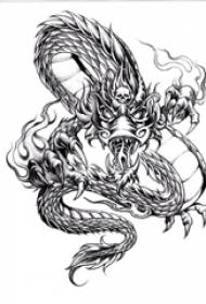 crno siva skica kreativni rukopis domaćeg zmaja totem tetovaža