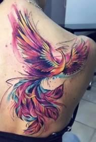 phoenix tattoo map - sehr schöner satz von phoenix tattoo mustern