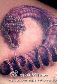 bonic patró de tatuatge de drac europeu i americà
