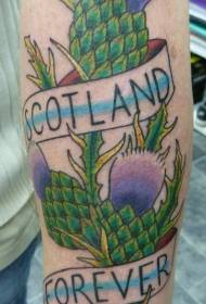 Chữ Scotland màu cánh tay với hình xăm thực vật