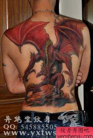 dominanta plné zpět barvy Evropské a americké drak tetování vzor