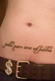 Abdomen Calligraphy Latinski vzorec tatoo besedila