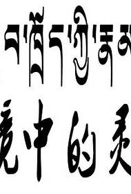 Sanskrit Tattoo Material der Seele in Not